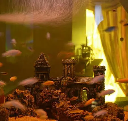 Umit Pembe Kosk Hotel Ankara