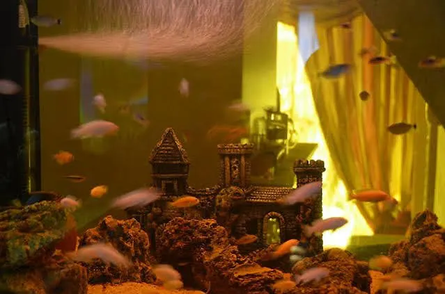 Umit Pembe Kosk ホテル アンカラ